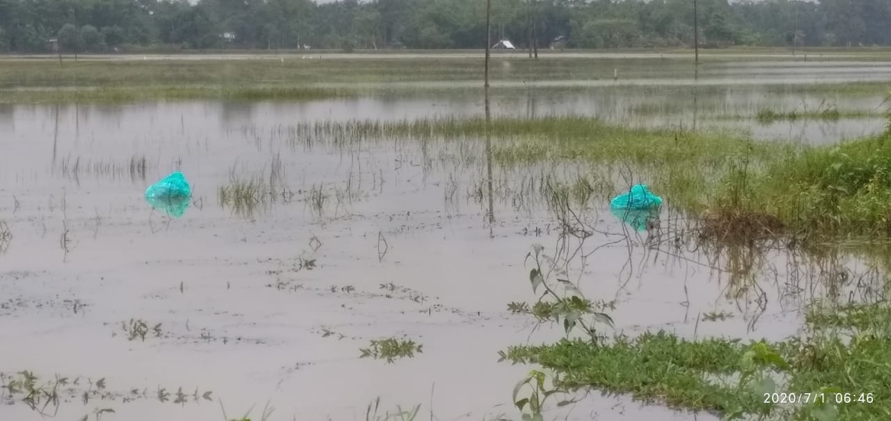 স্থানীয় ৰাইজৰ মাজত তীব্ৰ চাঞ্চল্যৰ সৃষ্টি