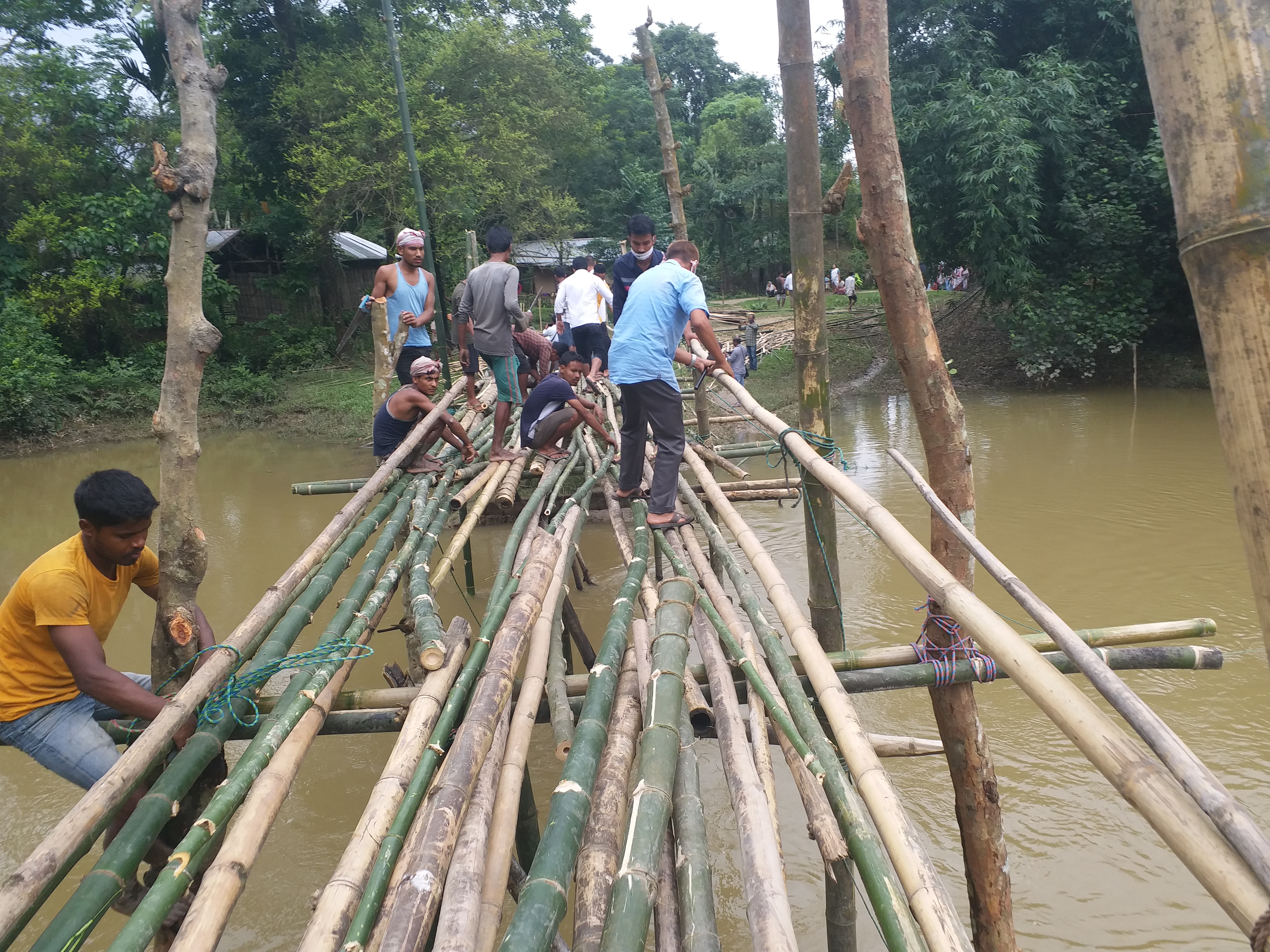 bamboo-bridge