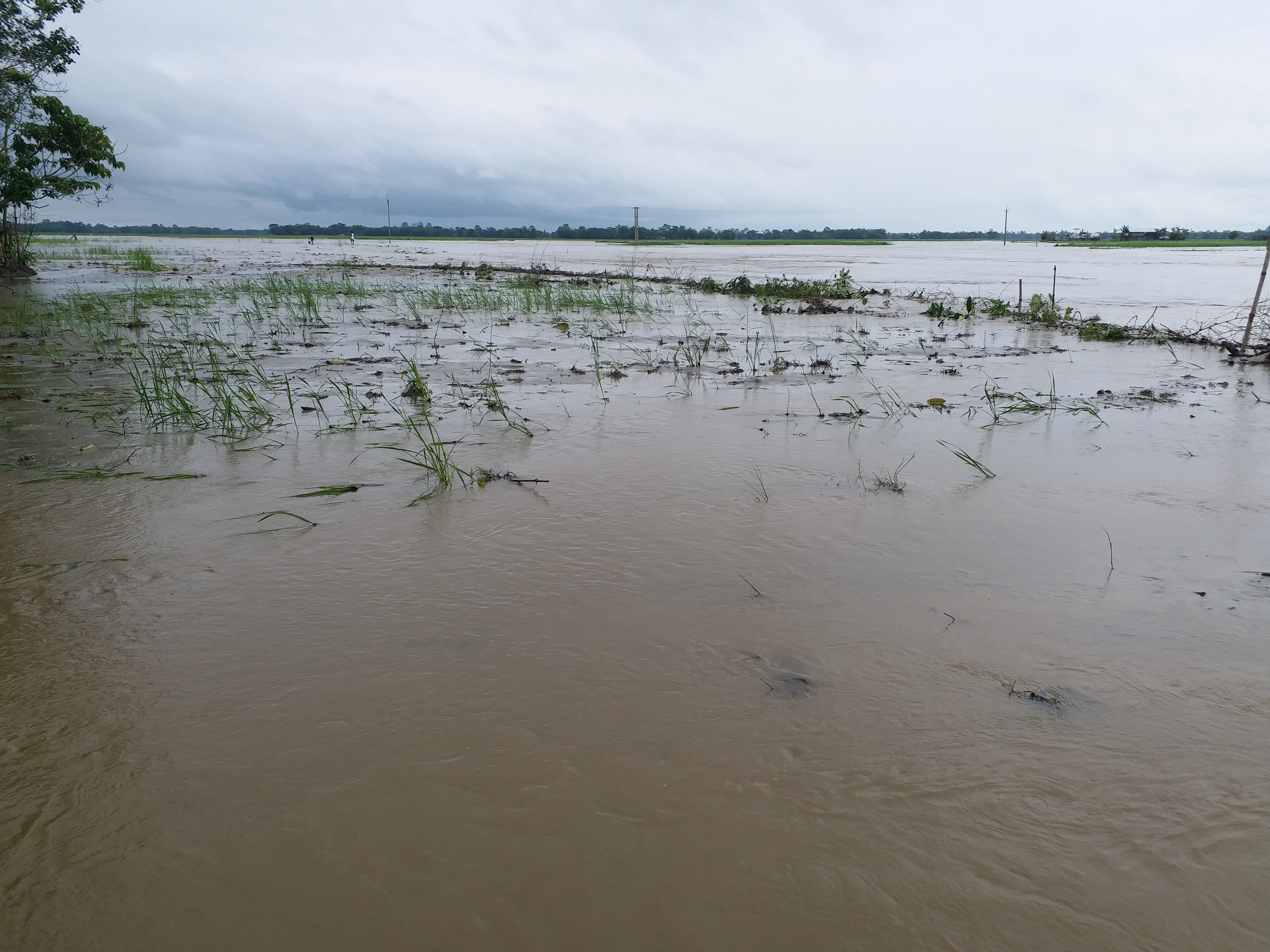 Flood In Dhemaji