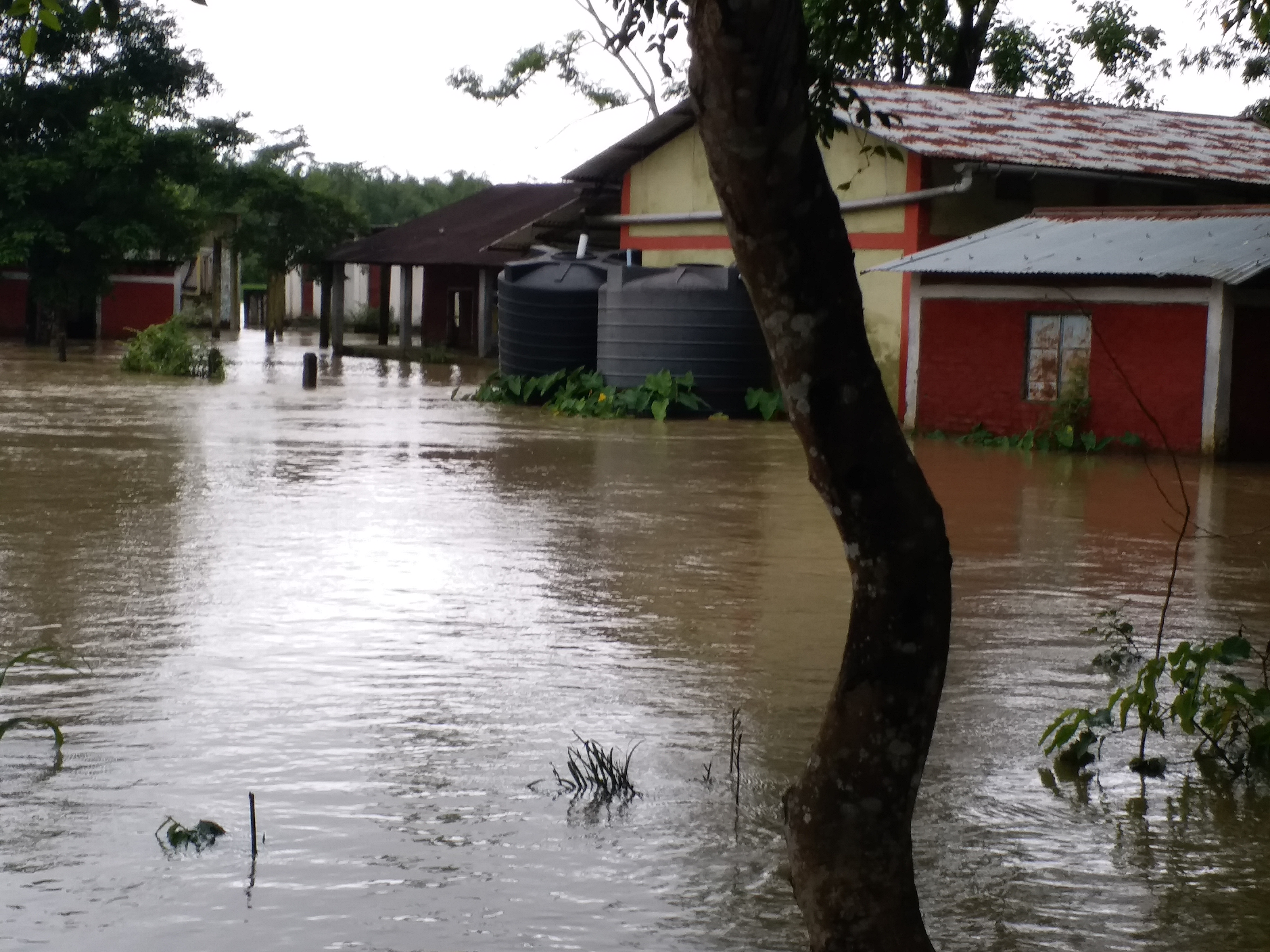 flood destroyed pwd Road at dhamaji