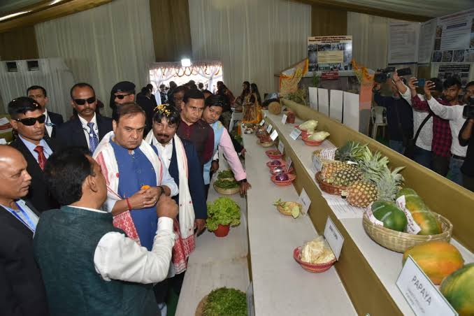 Assam agriculture sector