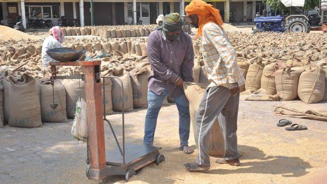 Paddy Procurement System