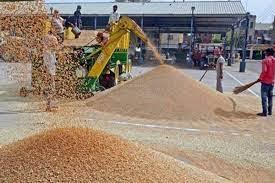 Paddy Procurement System