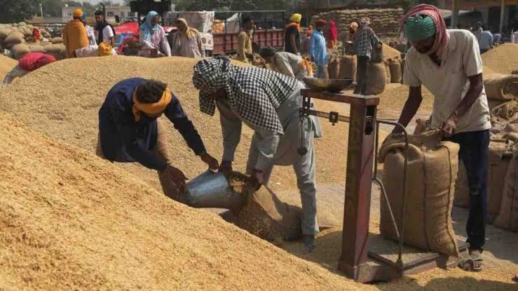 Many farmers have not been able to sell paddy