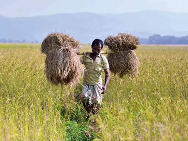 The target of purchasing one million metric tons of paddy in Assam is far away