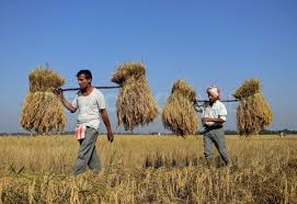 Production of paddy in Assam