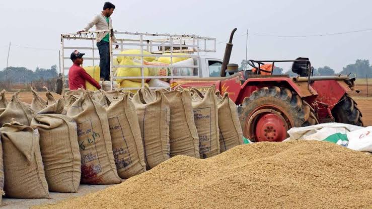 Assam govt target to purchase 10 lakh metric tonnes of paddy