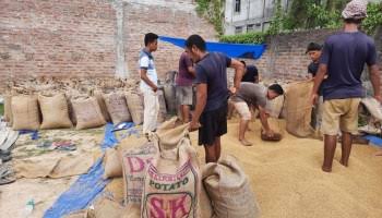 Assam govt target to purchase 10 lakh metric tonnes of paddy