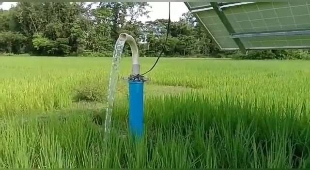 Agricultural state Assam lagging behind in terms of irrigation system