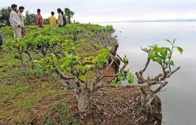 severe erosion in Assam