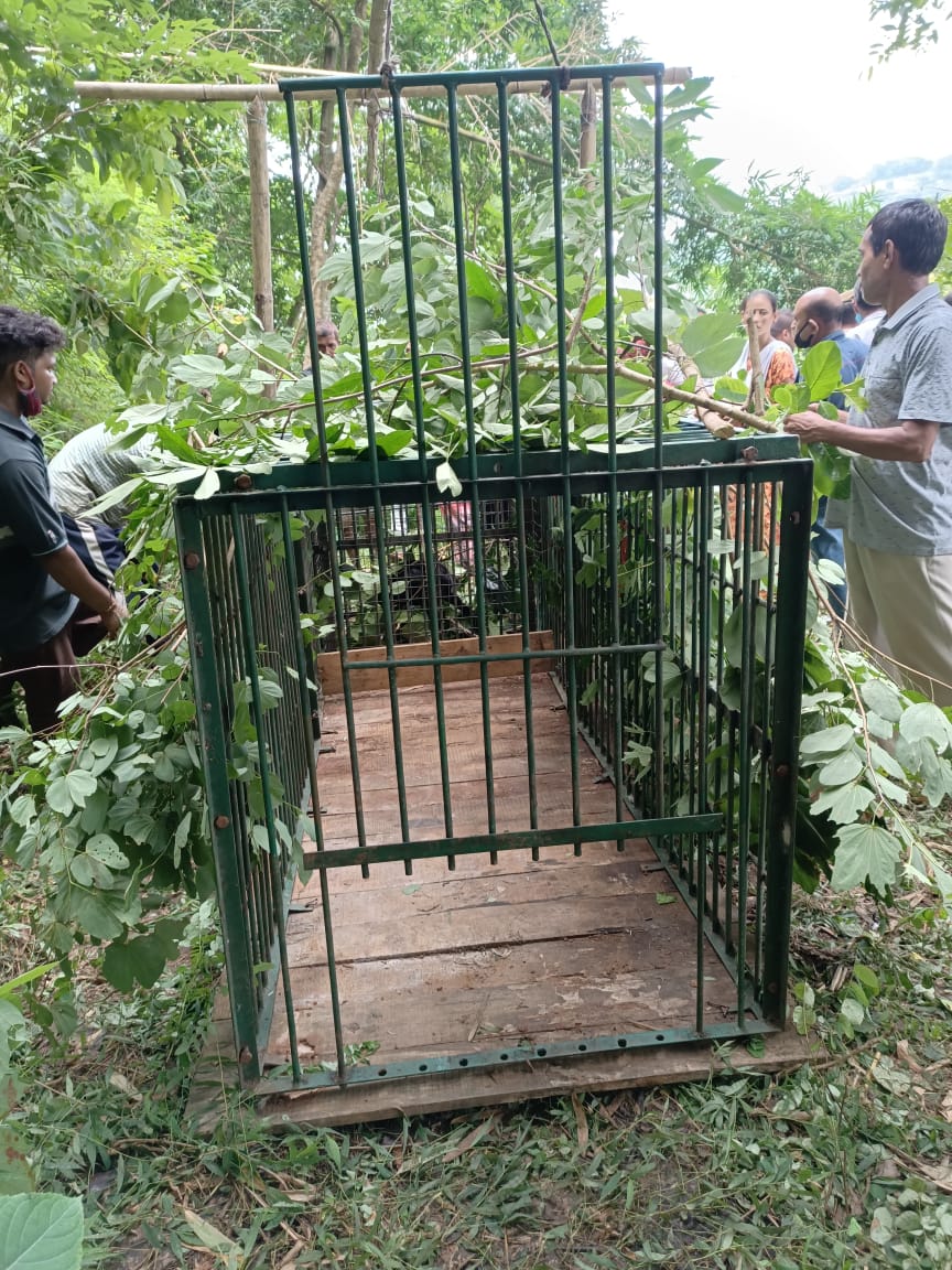 নাহৰফুটুকী ধৰিবলৈ পিঞ্জৰা স্থাপন