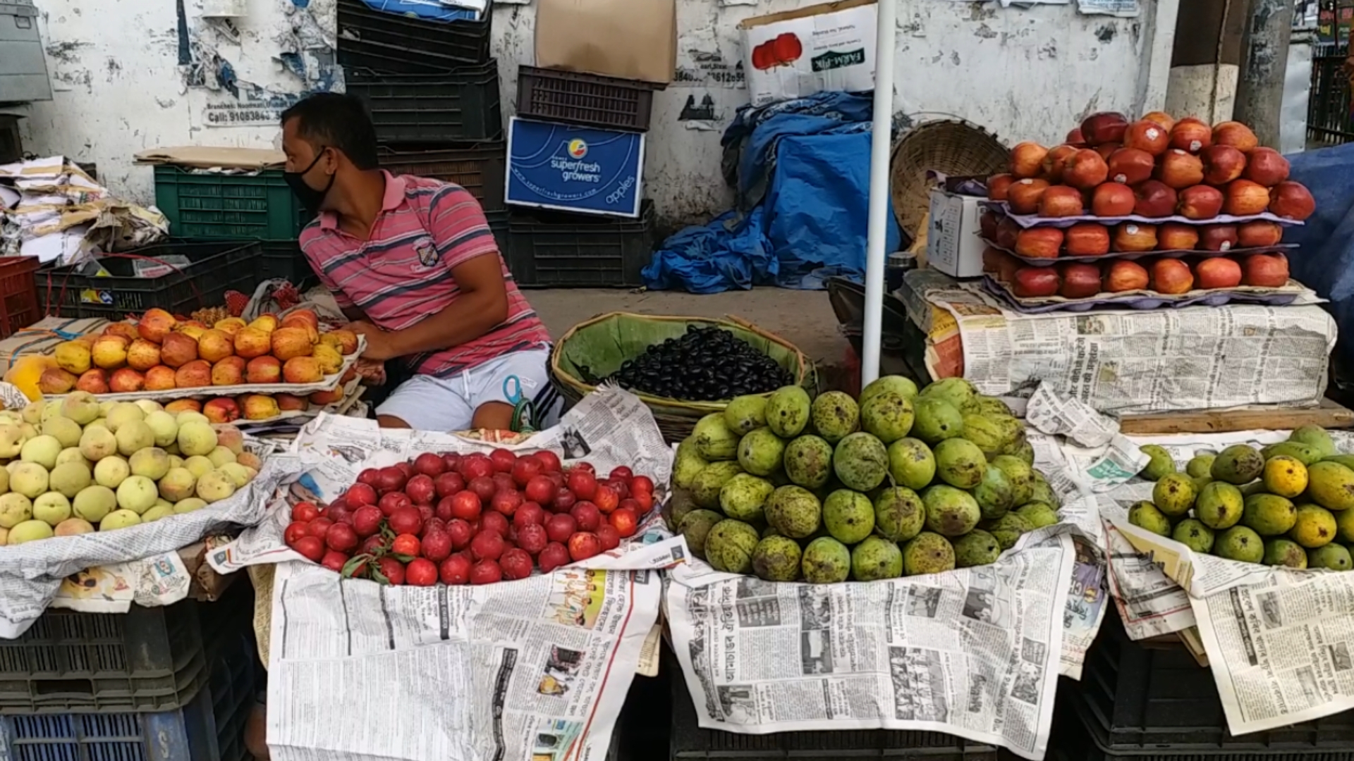 price of vegetable and fruits