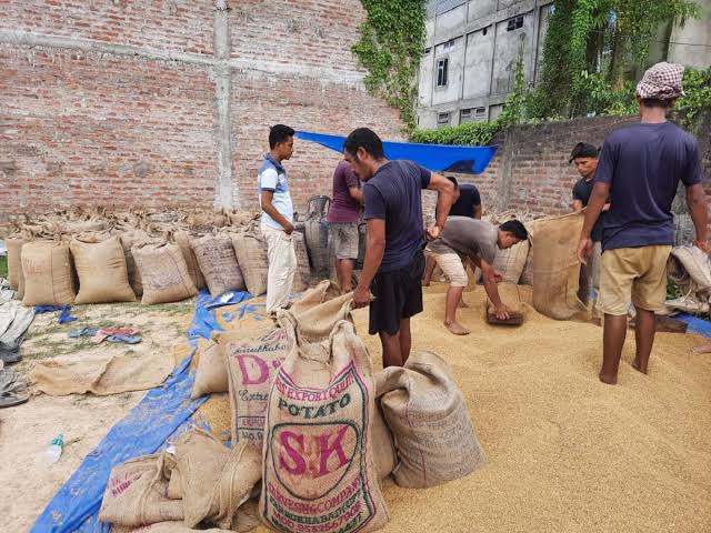 Paddy Procurement