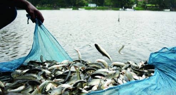 Assam moves upwards in fisheries production