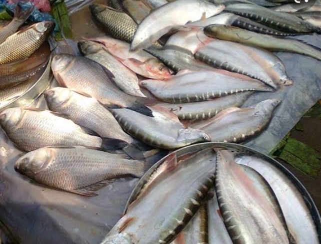 Assam moves upwards in fisheries production