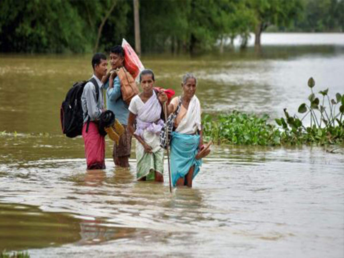 Seven districts of Assam affected by flood