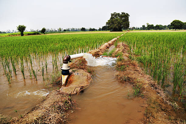 40 irrigation projects will be closed