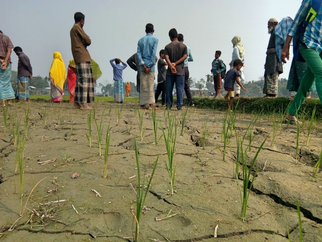 rainfall in Assam