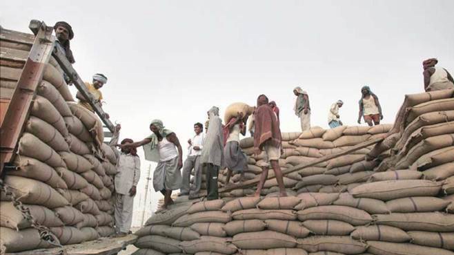 The government will procure seven lakh metric tonnes of paddy at MSP