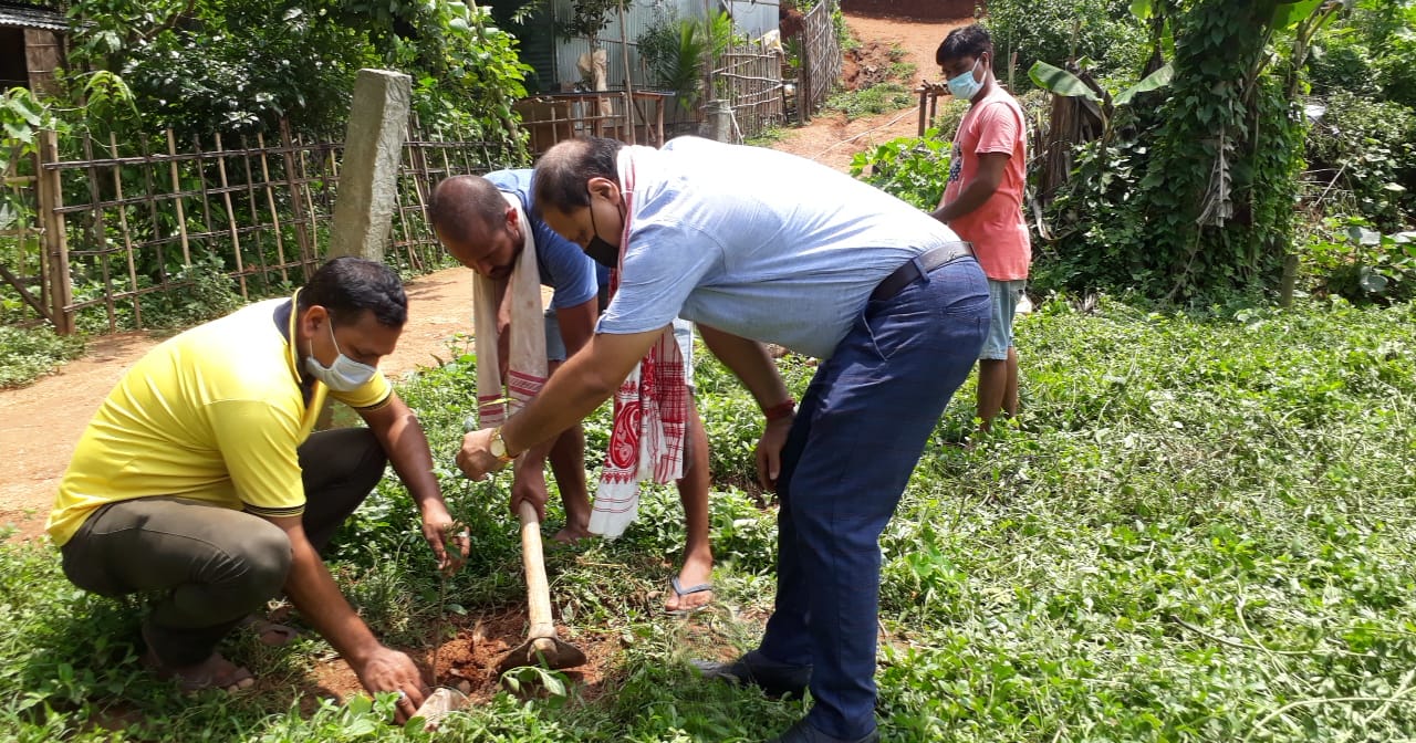 tree_plantation_at_gotanagar