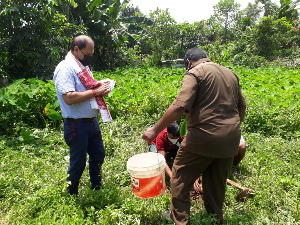 tree_plantation_at_gotanagar