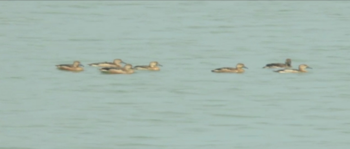 fishing is going on at Deepor Beel