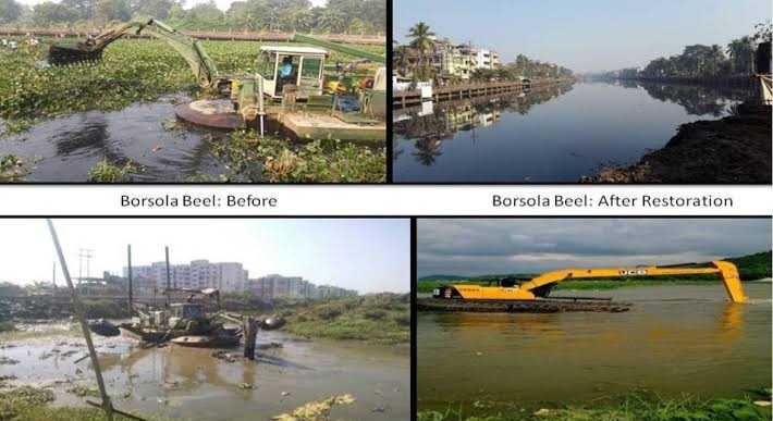 Migratory birds at Silsako Beel