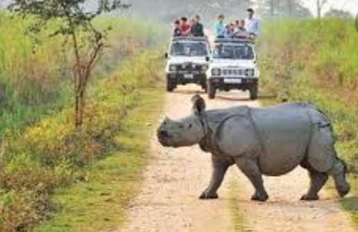 assam tourism industry