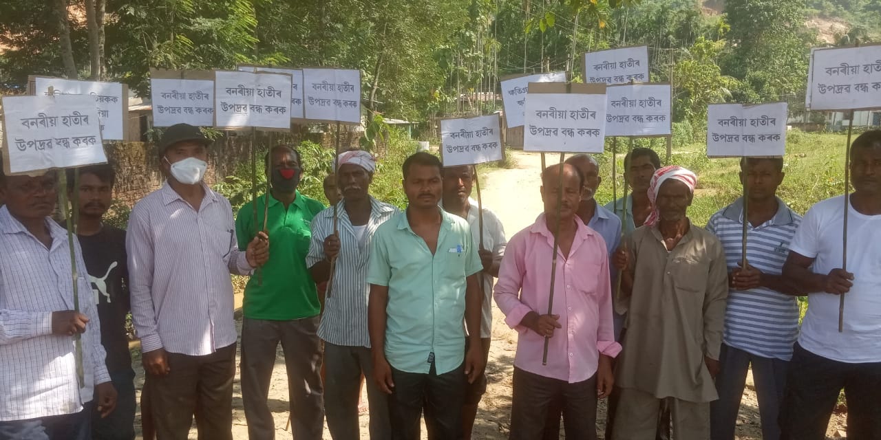 Villagers demand solution for wild elephant menace at Rani