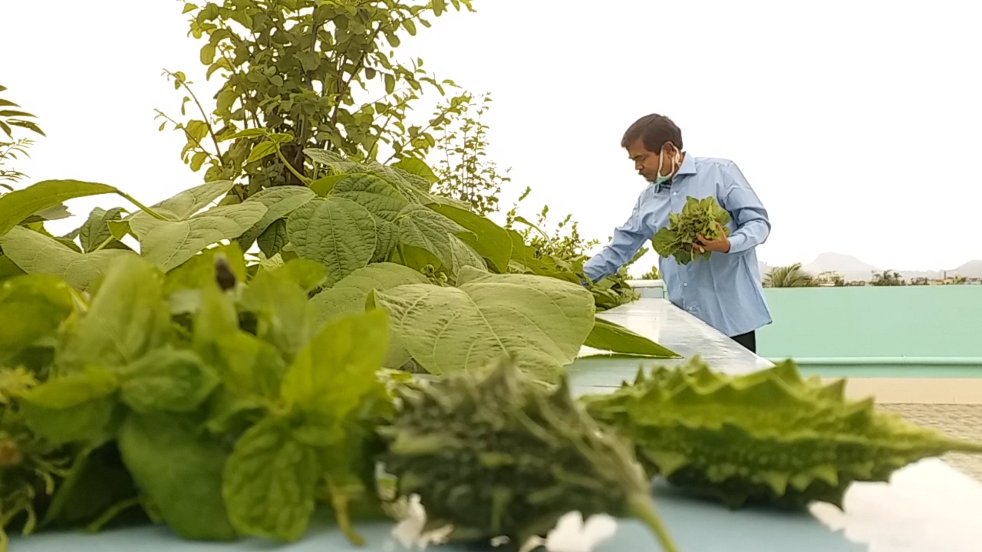 Roof top gardening during lockdown in Assam