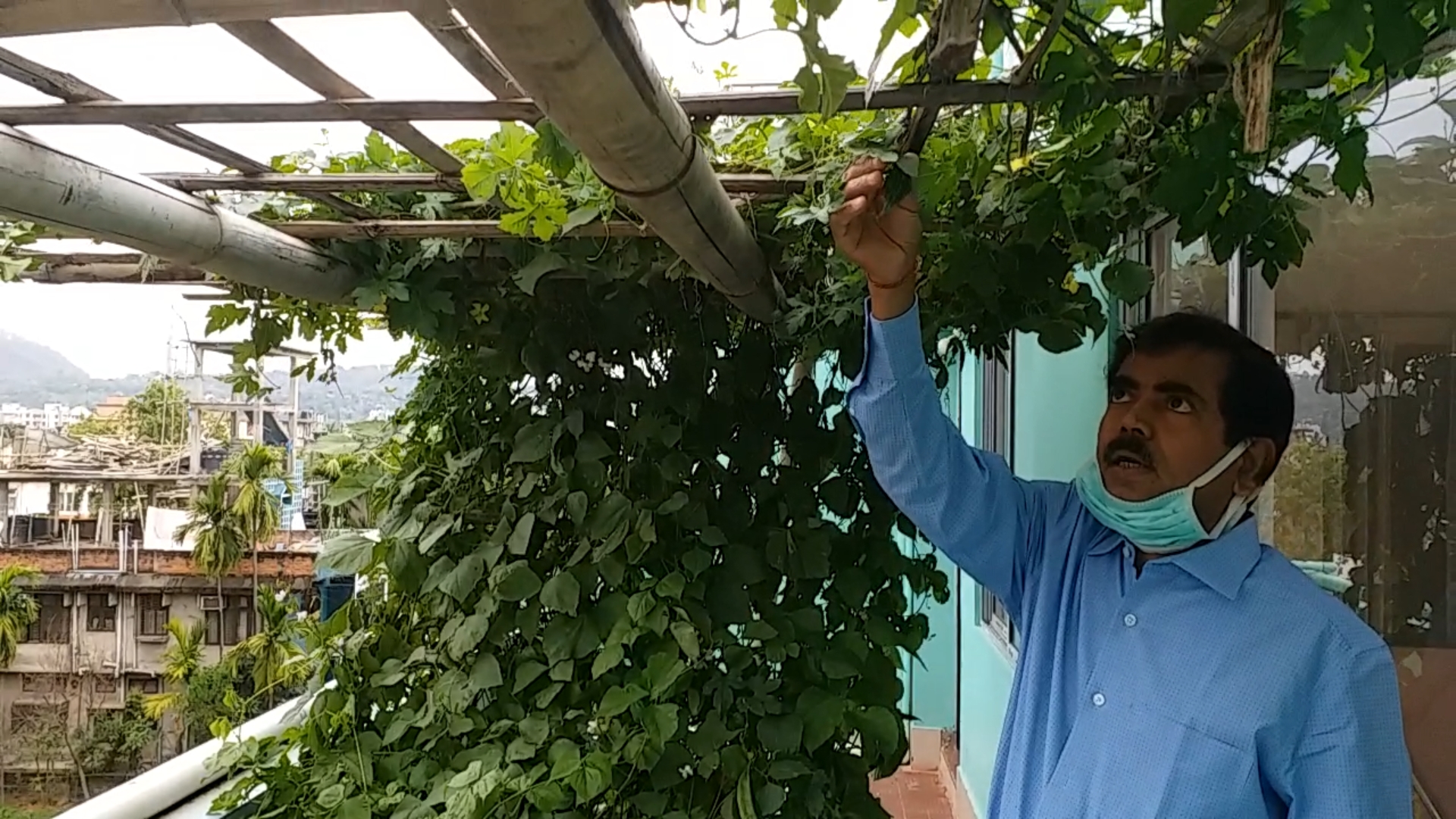 Roof top gardening during lockdown in Assam