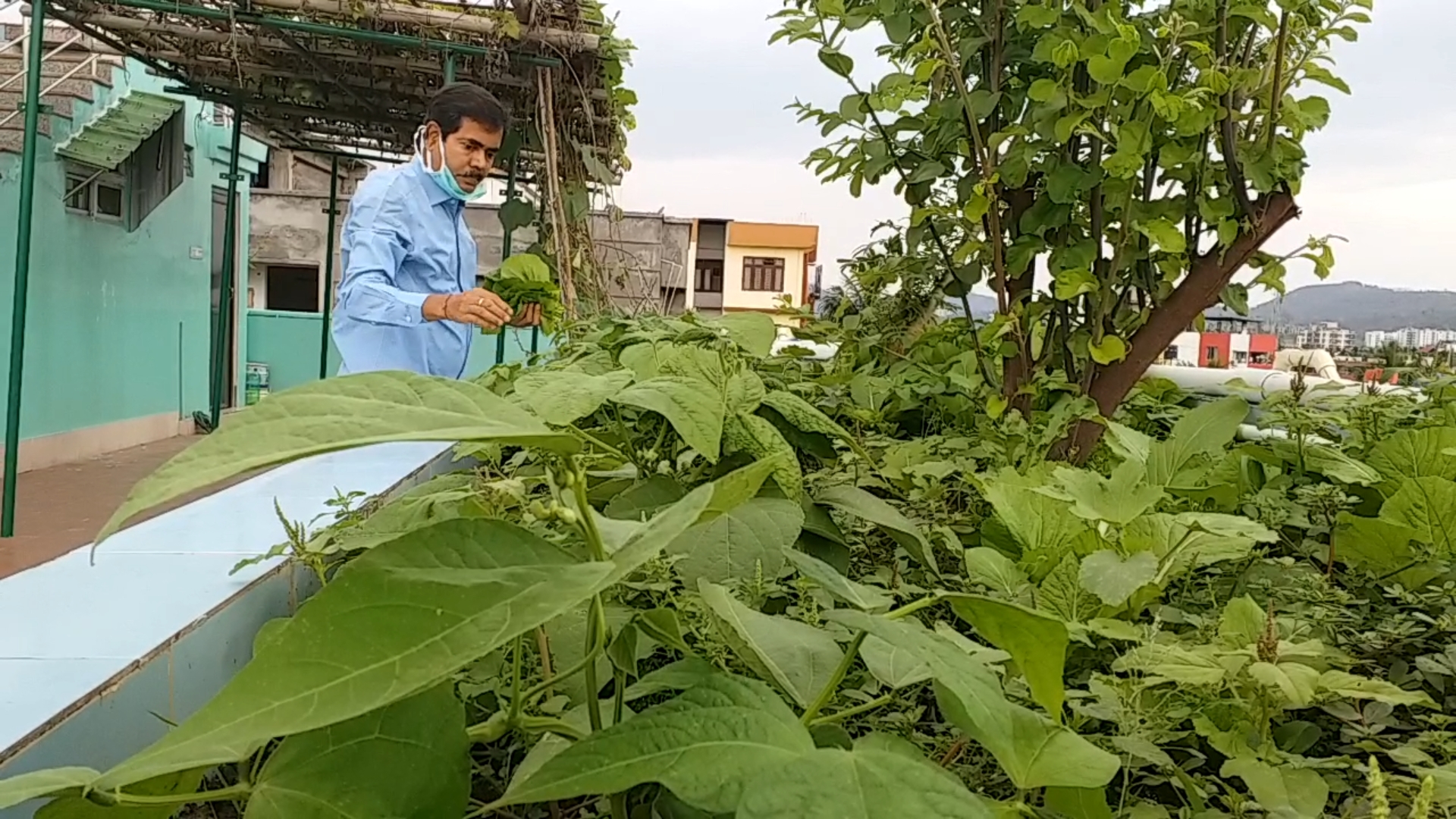 Roof top gardening during lockdown in Assam