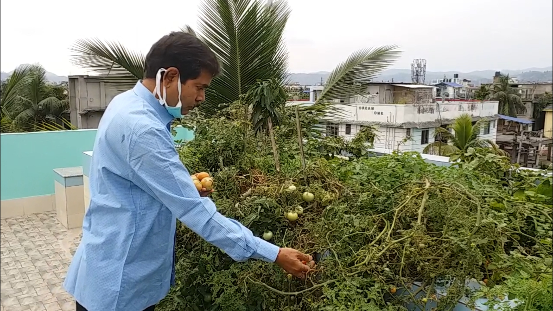 Roof top gardening during lockdown in Assam