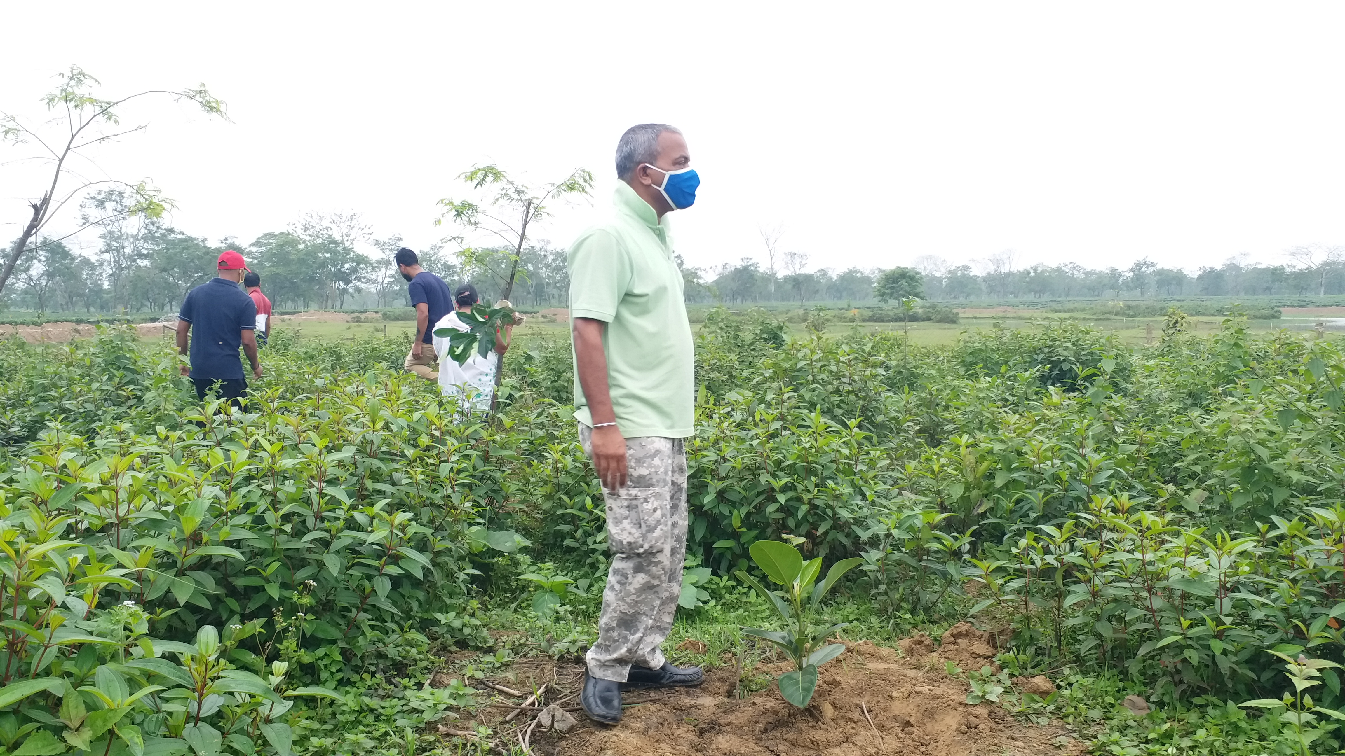 বিশ্ব পৰিৱেশ দিৱস পালন বিধায়ক মৃণাল শইকীয়াৰ