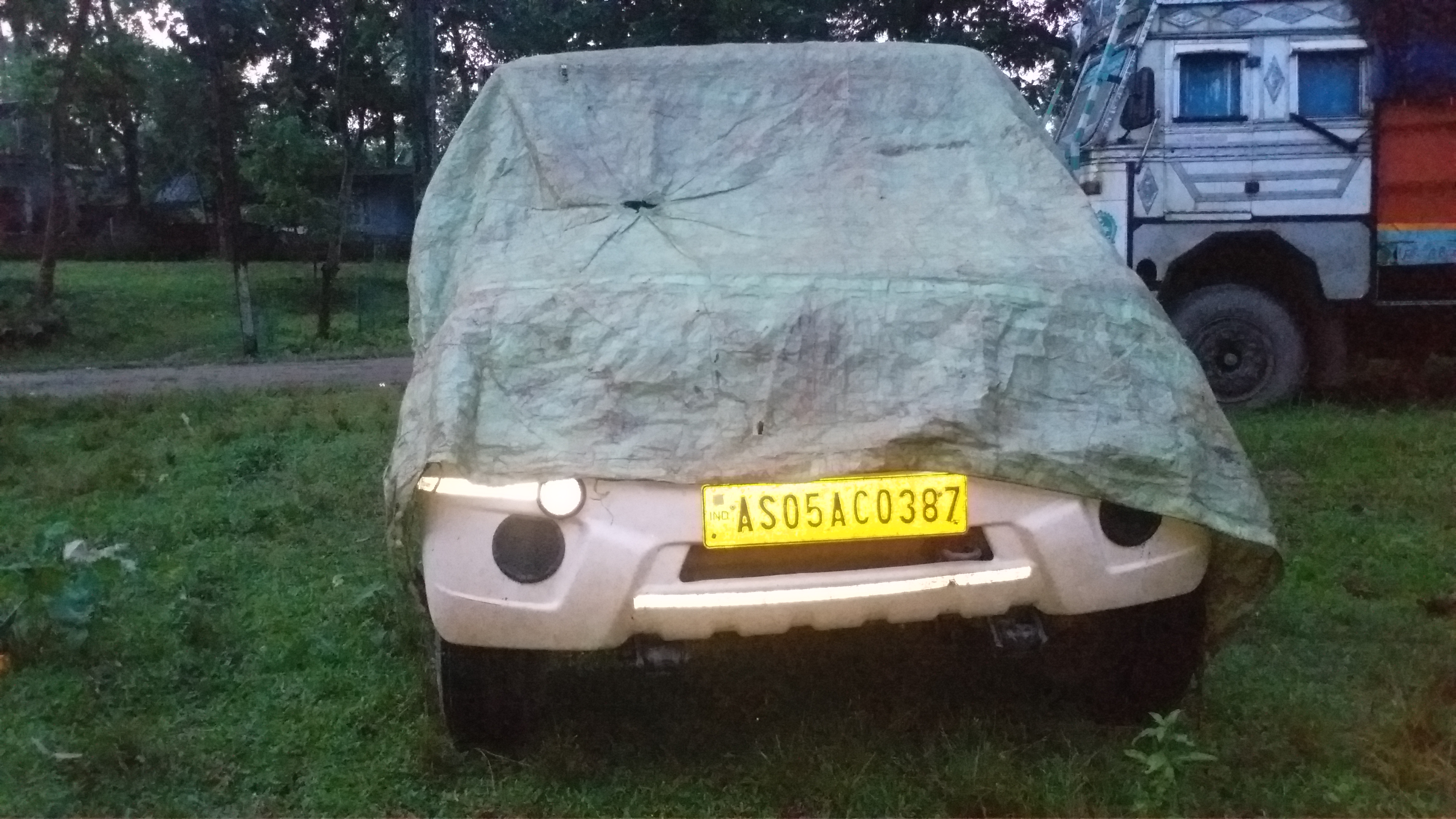 wood seized at golaghat