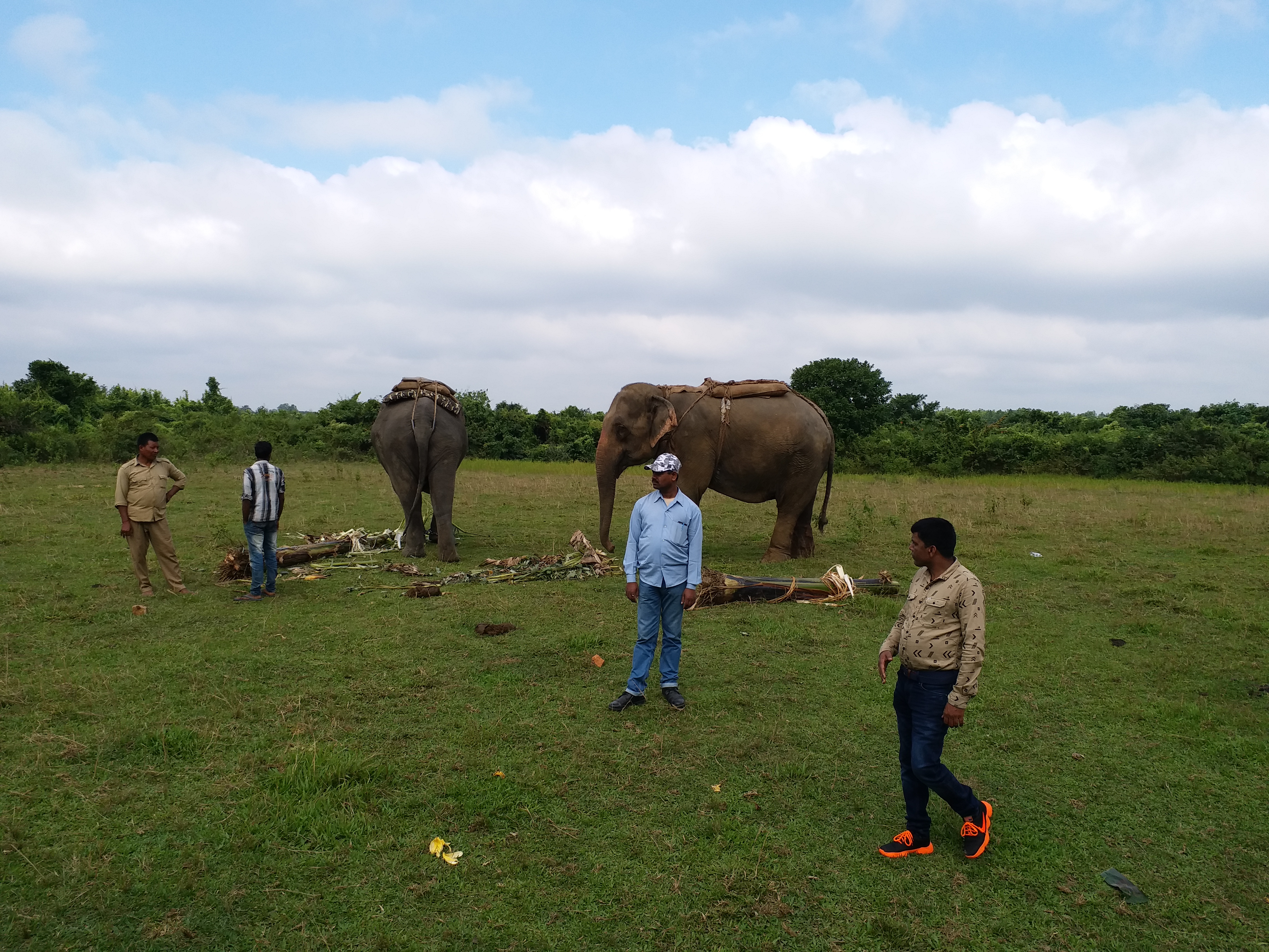 পদ্ম হাজৰিকাৰ নেতৃত্বত মিছন লাডেন