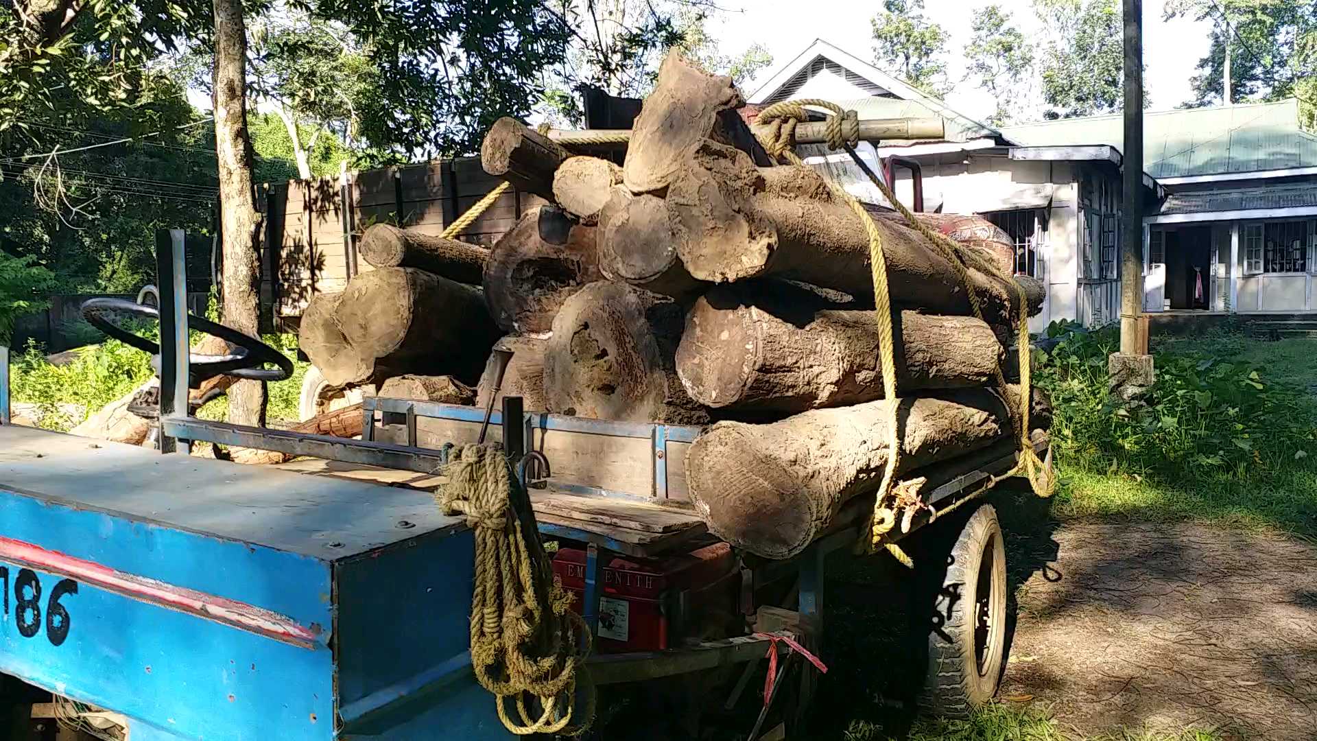 গোৱালপাৰাৰ খৰমুজা বজাৰত জব্দ লক্ষাধিক টকাৰ কাঠৰ কুণ্ডা