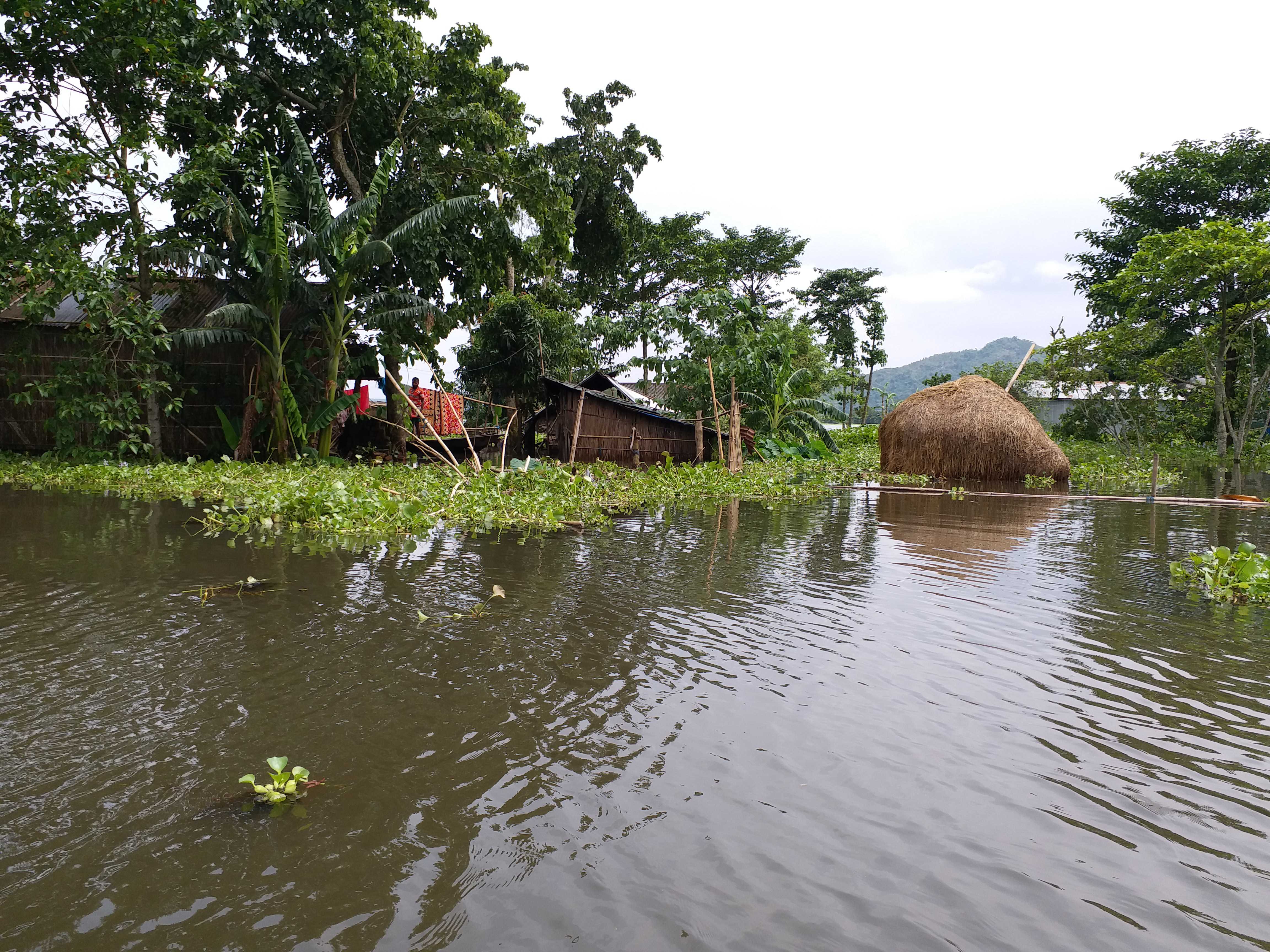 Assam flood