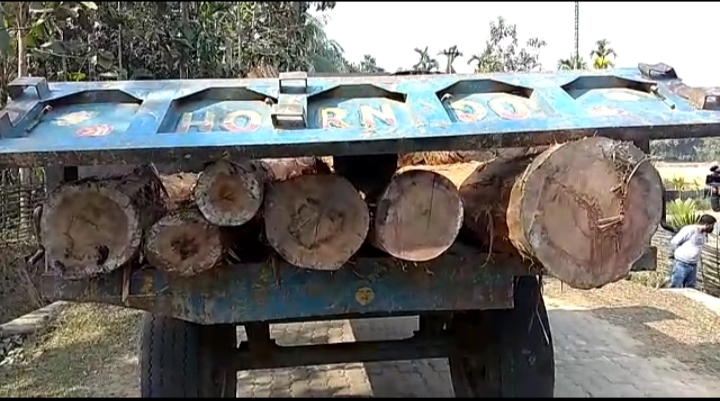 illegal-timber-mills-and-timber-seized-in-goalpara