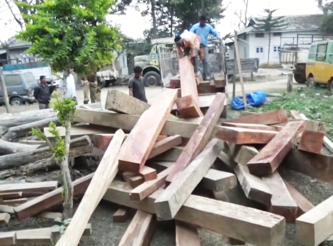 Illegal wood seized by Lanka forest department