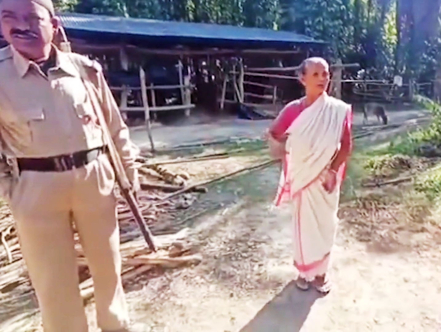 hojai men elephant conflict