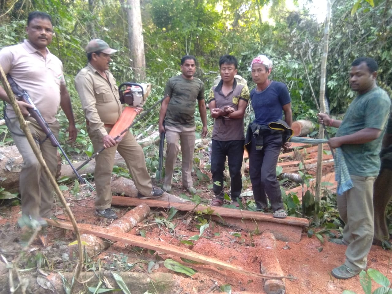 বনকৰ্মীৰ অভিযানত গ্ৰেপ্তাৰ হোৱা বন মাফিয়া দুটা