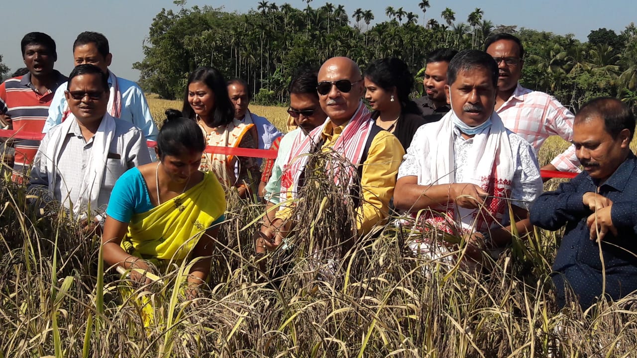 Assam Agricultural University celebrates Field Day