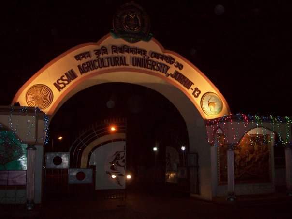 Assam Agriculture University