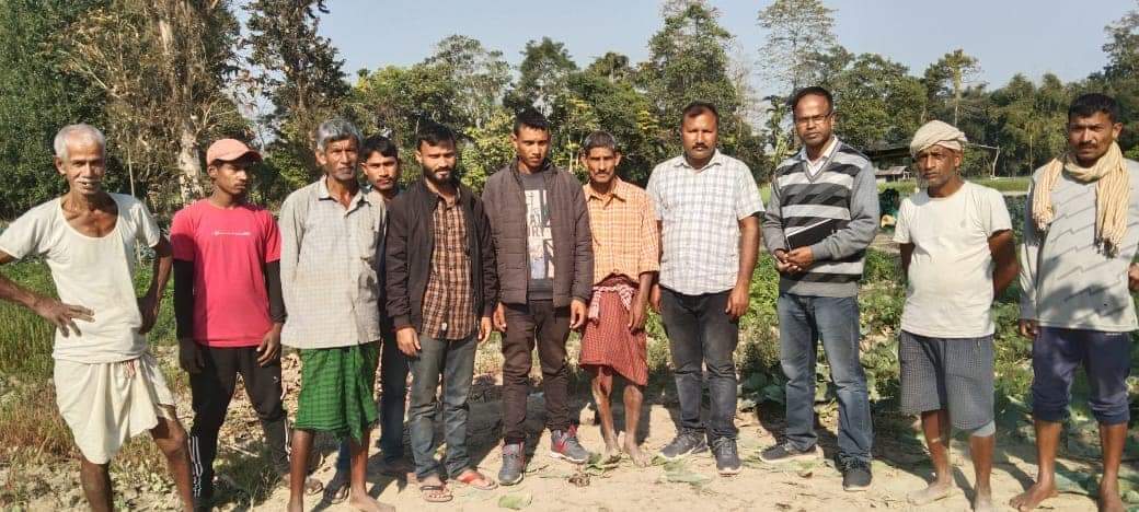 koni dhan cultivation in jorhat