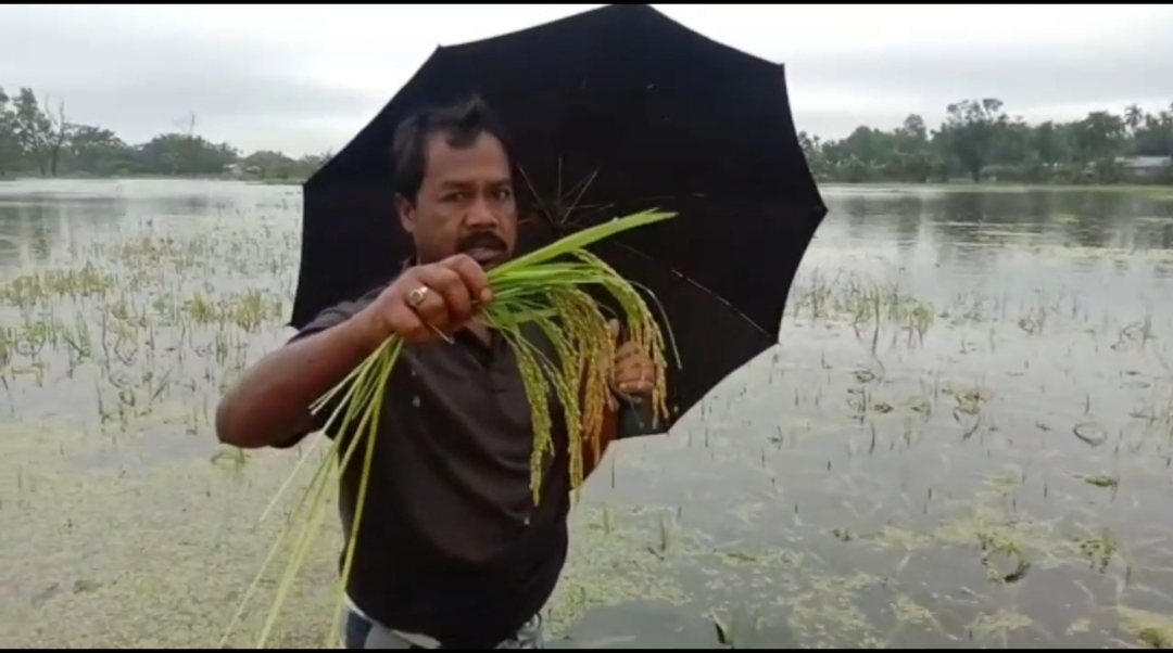 flood effected kokorajhar agriculture sector