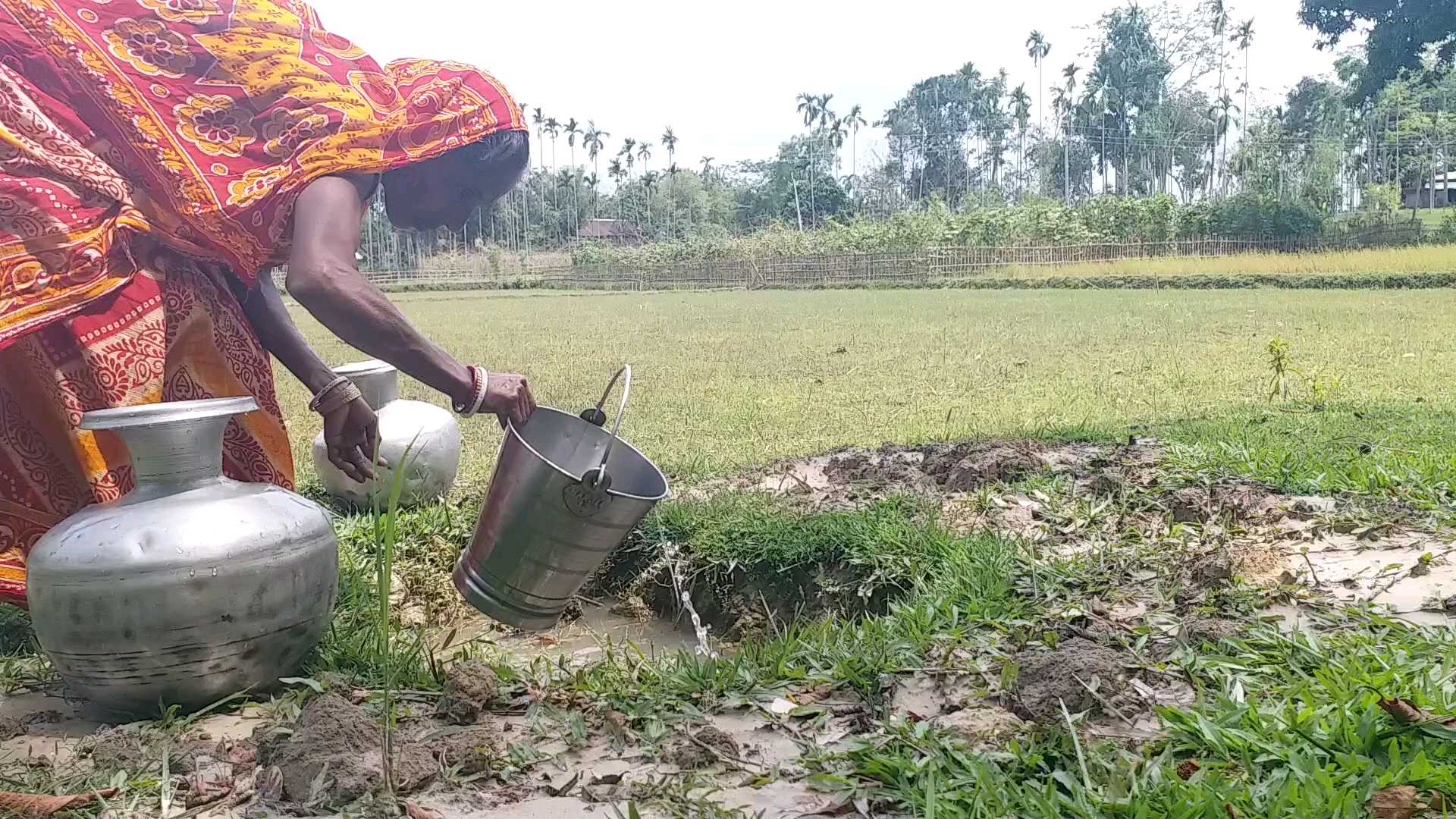 পথাৰত থকা গাতৰ পৰা দৰিদ্ৰ লোকসকলে সংগ্ৰহ কৰে খোৱাপানী