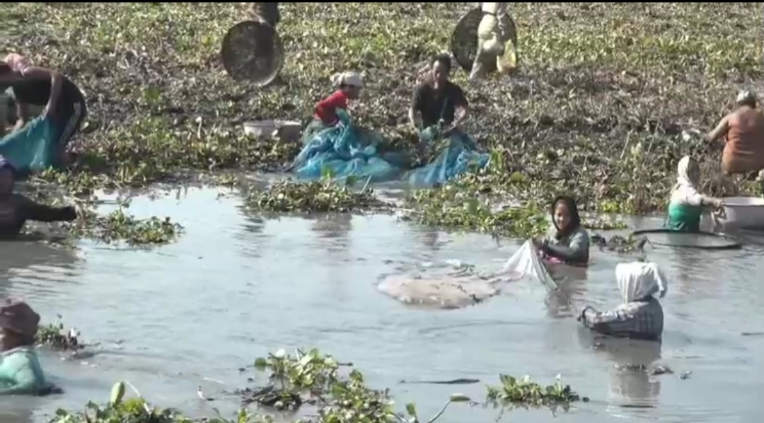 Traditional fish haunting in Majuli