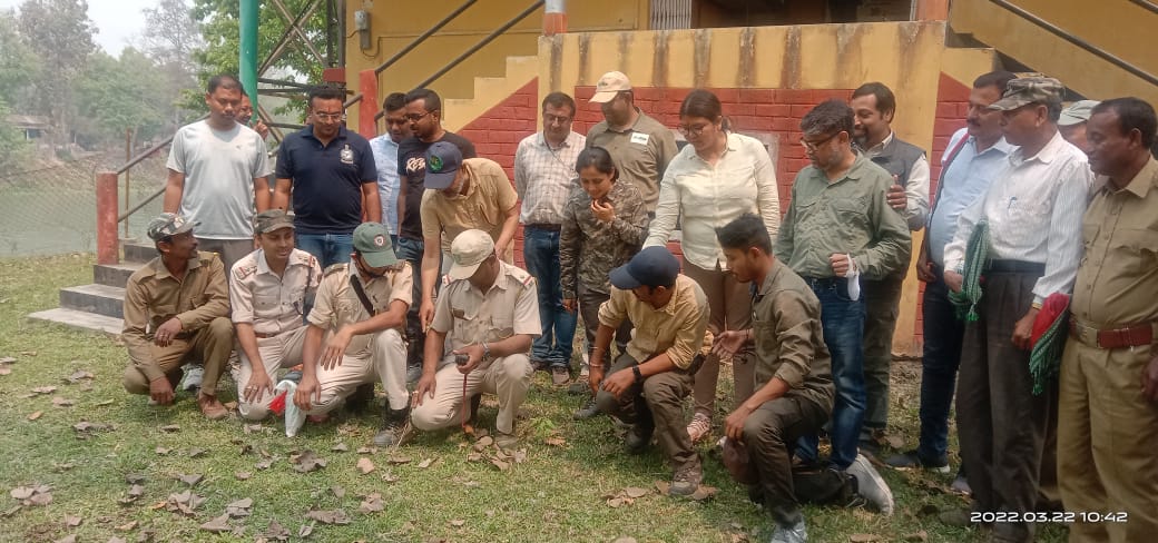 Morigaon one horned rhino census 2022