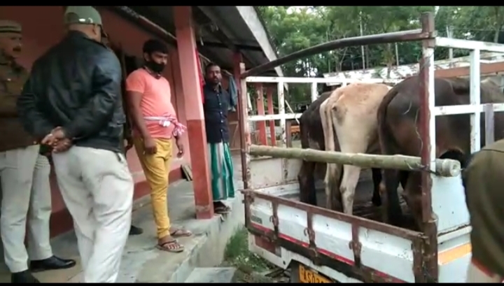 একেদিনাই পৃথক পৃথক অভিযানত অপৰাধীৰ বিৰুদ্ধে বৃহৎ সফলতা নগাঁও আৰক্ষীৰ